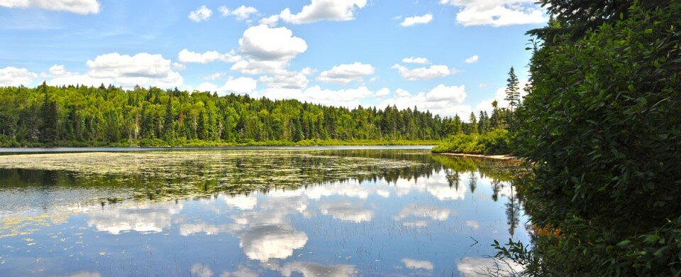 parc national de la Mauricie