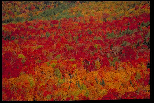 Couleurs d’automne